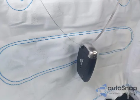 2019 Ford Mustang Ecoboost z USA, uszkodzony, nr VIN 1FA6P8TH6K5117213